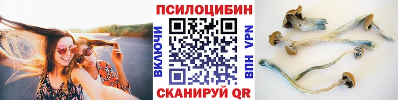 Галлюциногенные грибы Psilocybe  Слюдянка 